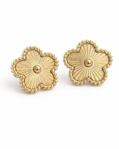 Boucles D’oreilles Cléa - En Acier Inoxydable