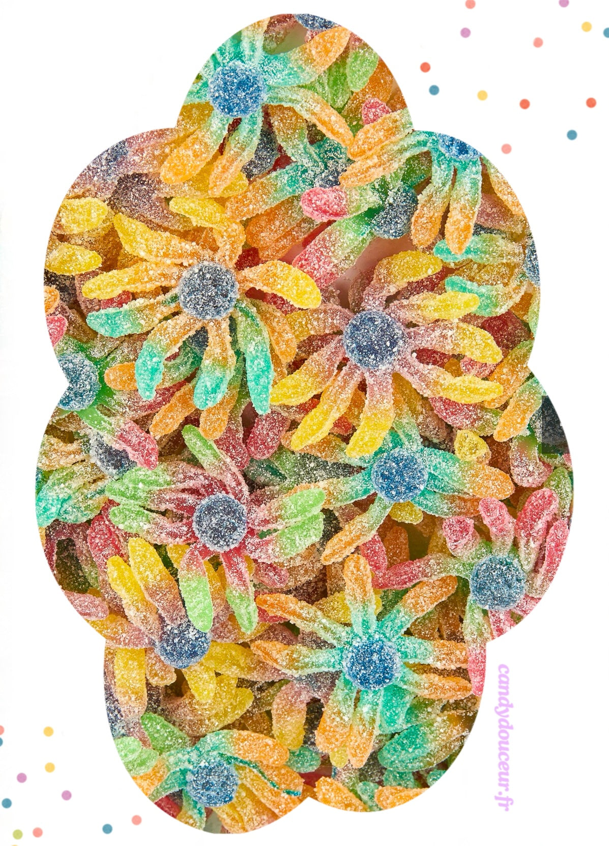 Pieuvres Acides (Lot de 5)