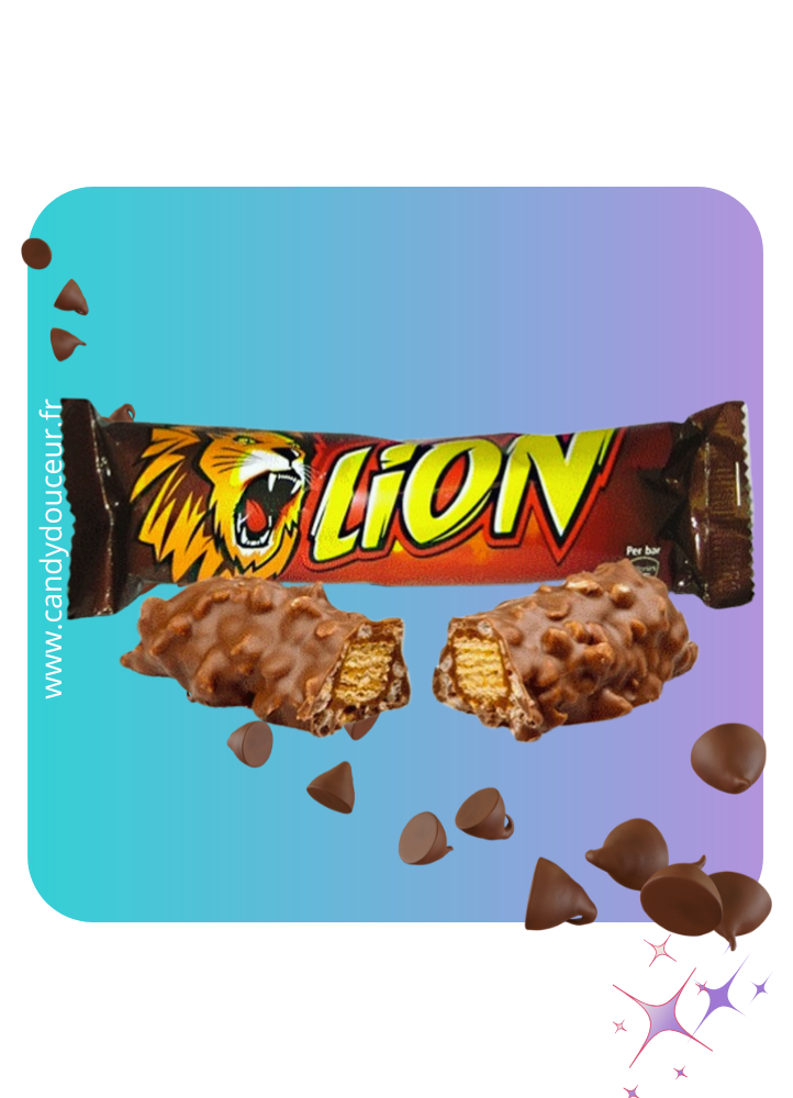 Anti-Gaspi Lion chocolat (DDM Dépassée)