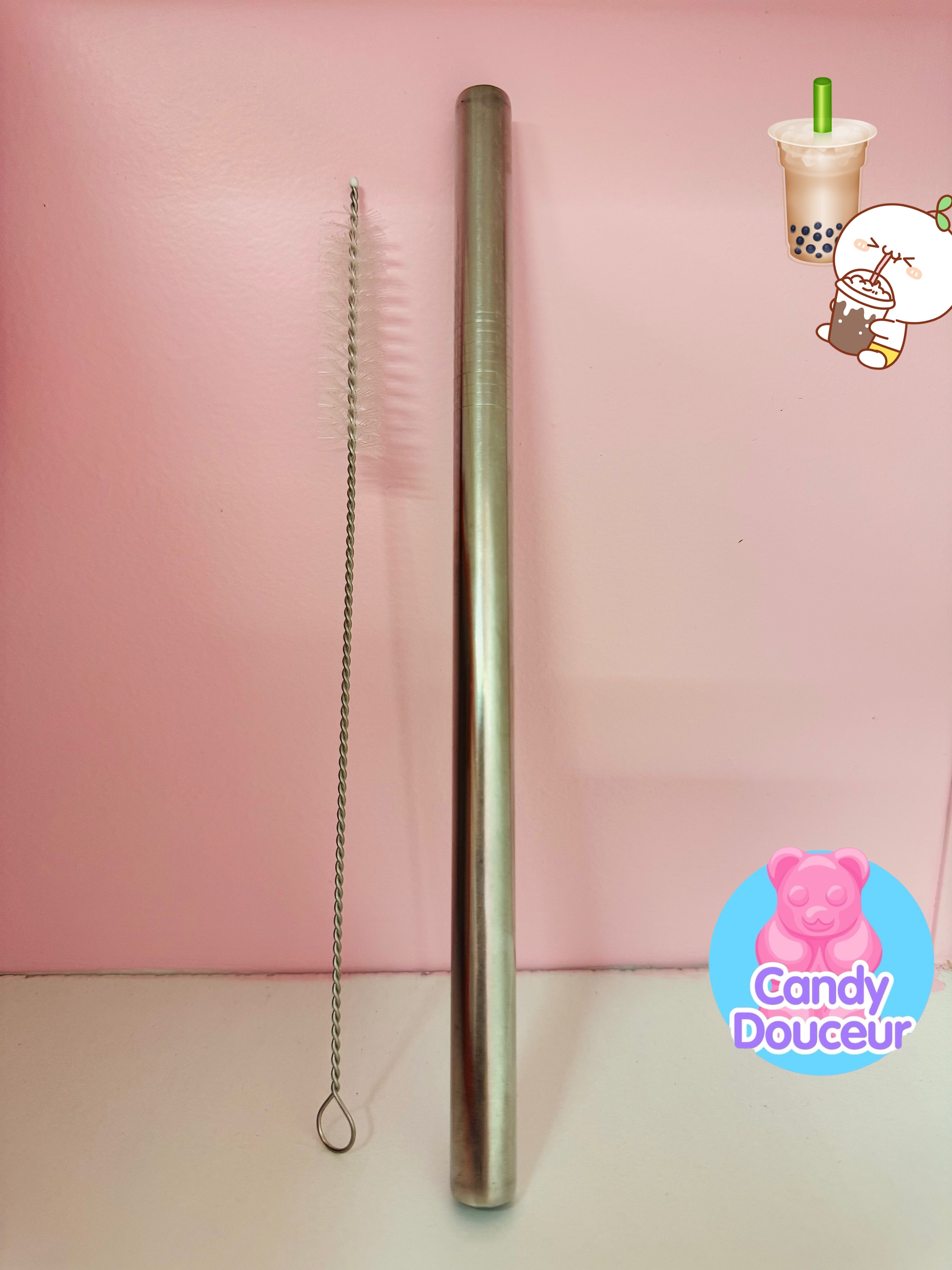 Paille inox XXL + goupillon